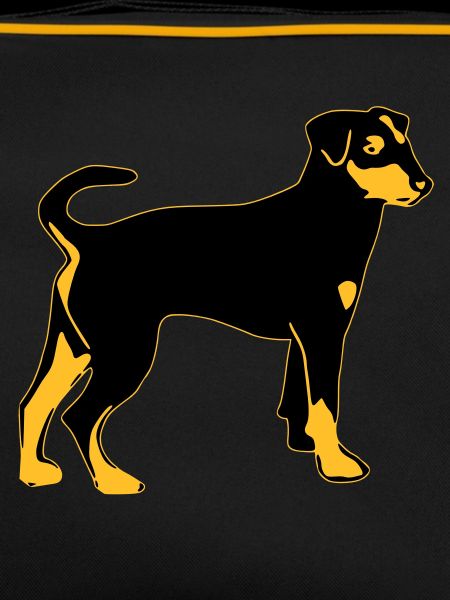 pinscher dog
