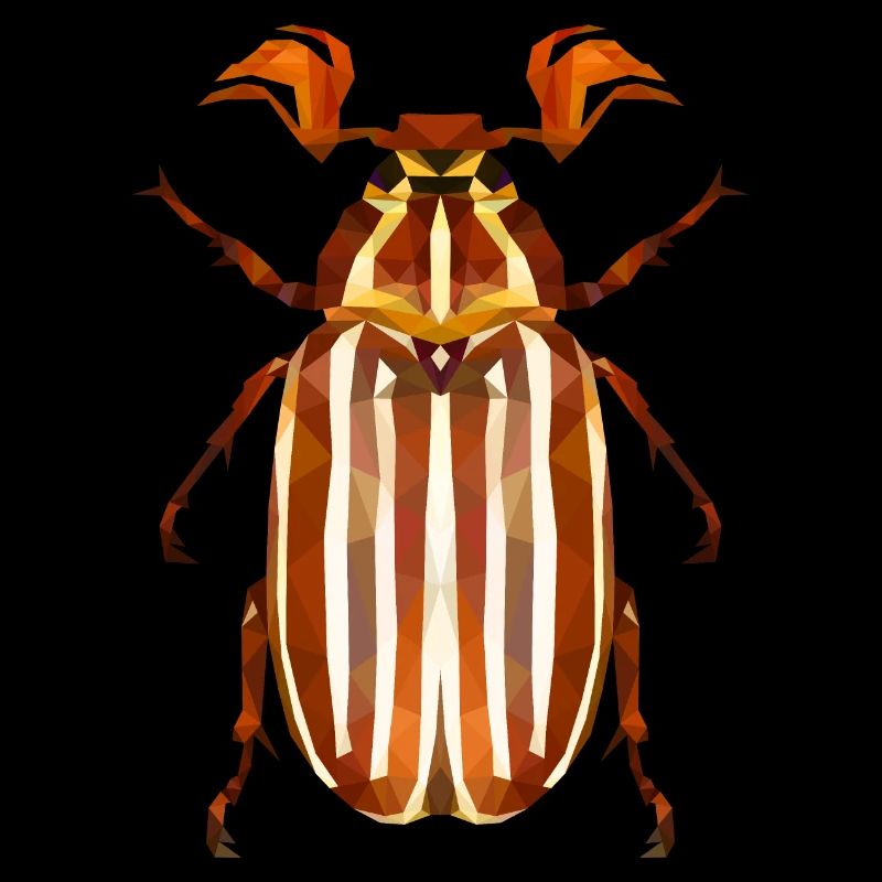 Coléoptère de la pastèque