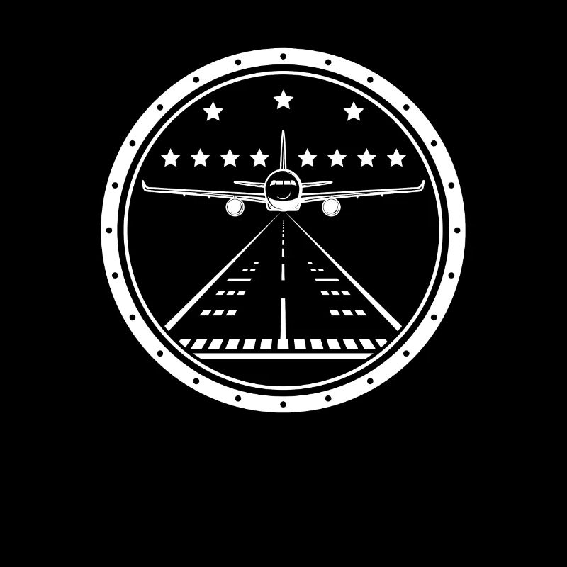 Airplane Landing Navigation Pilot Airplane