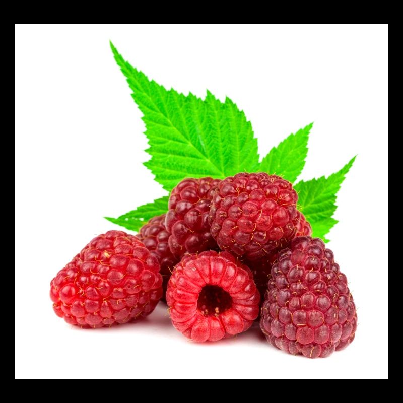 Himbeere. raspberry