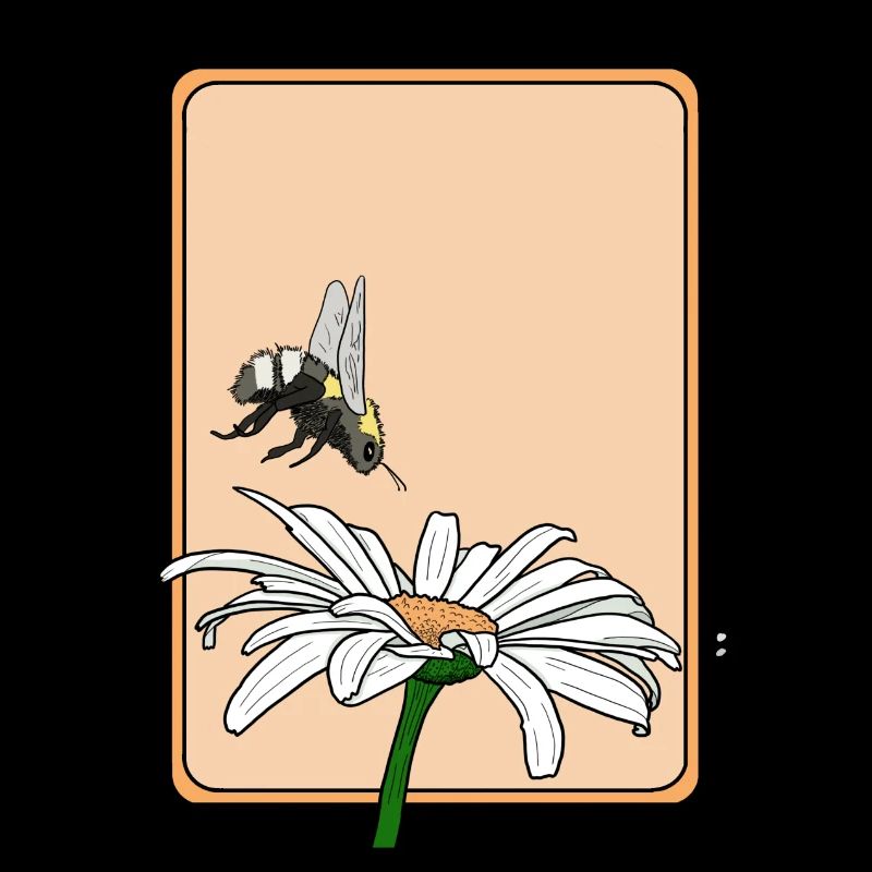 Gänseblümchen und Hummel
