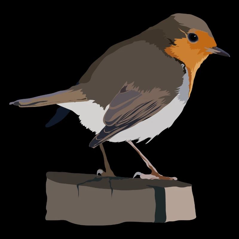 Rotkehlchen