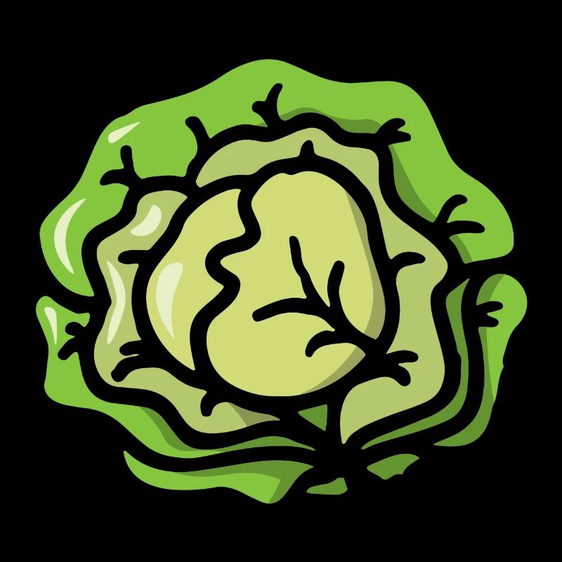 Salad cabbage vegetables - Salad cabbage vegetable
