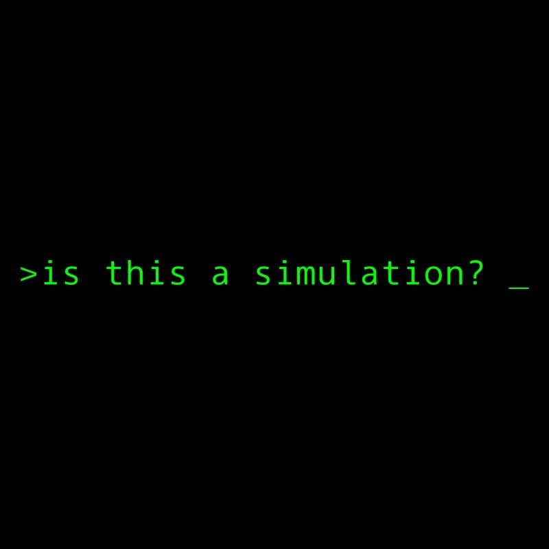 Simulation Programming Informatic Gift Saying