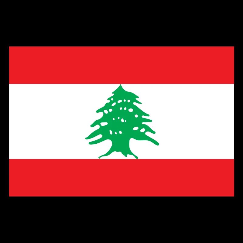 Liban drapeau libanais drapeau