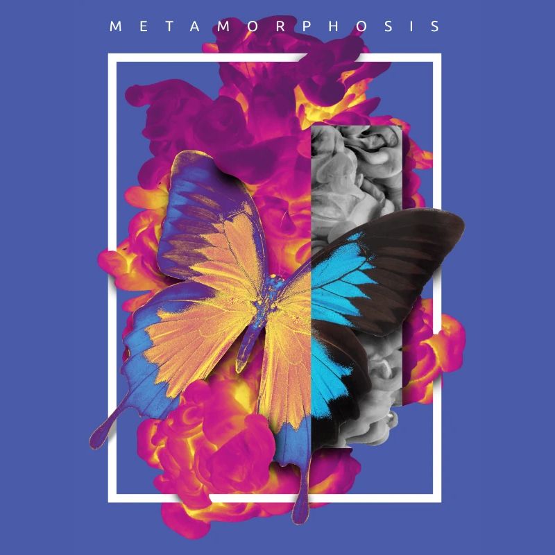 MÉTAMORPHOSE CONCEPTION ASTUCIEUSE DE PAPILLON