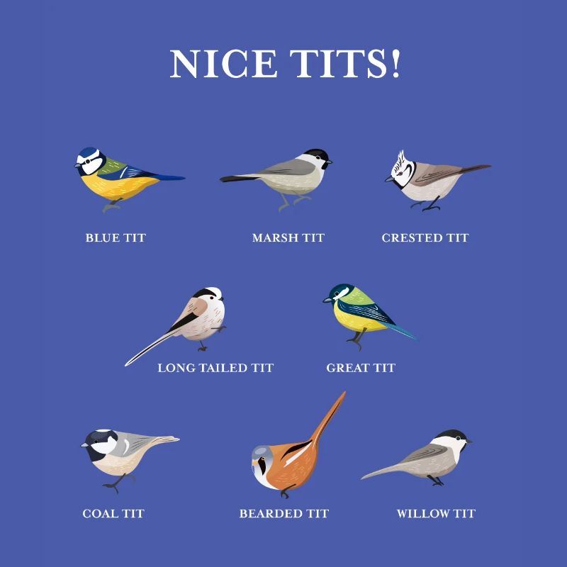 Nice tits Funny Bird watching Gift Idea