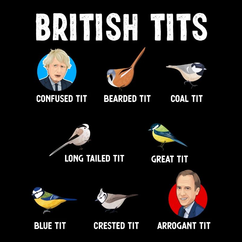 Tit Bird Gift Boris Johnson Matt Hancock
