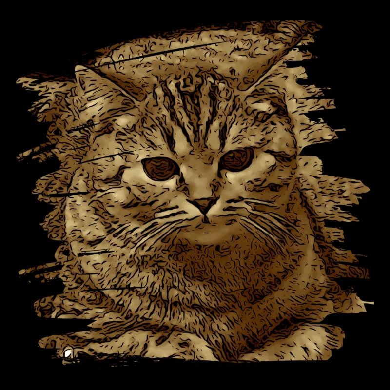 Katzengesicht5