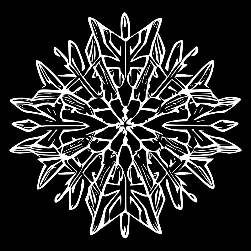 Snowflake Snow Winter Christmas Cold 14