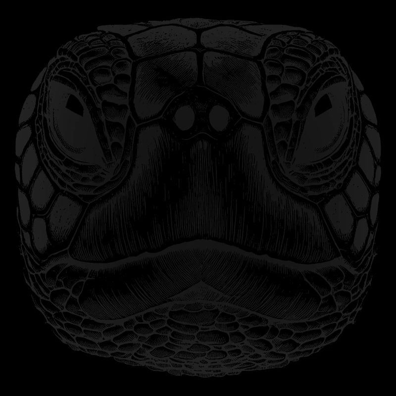 Sea turtle