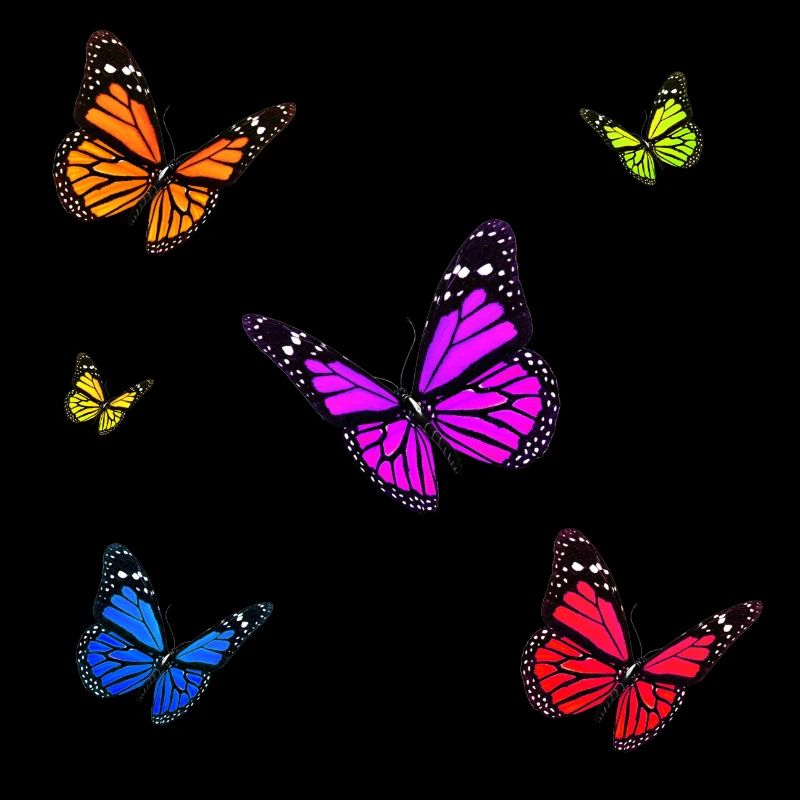 Ensemble papillon monarque multicolore