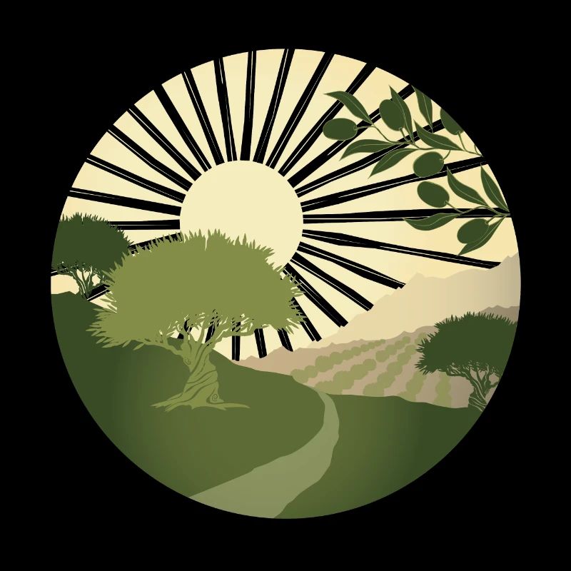 Hike past ancient olive trees
