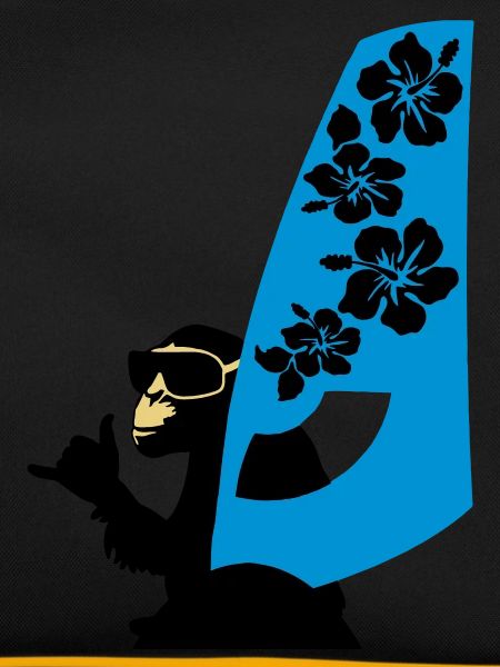 windsurfer