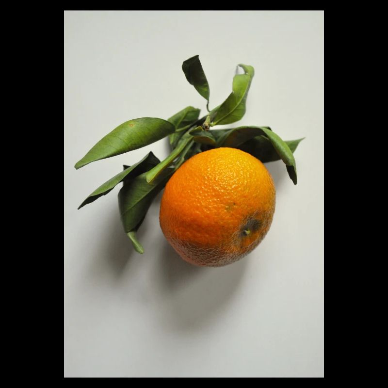 Mandarin