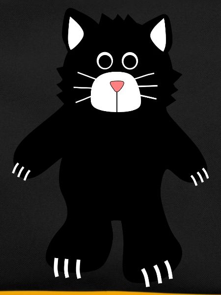 chat noir