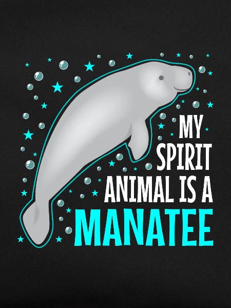 Manatee Manatee