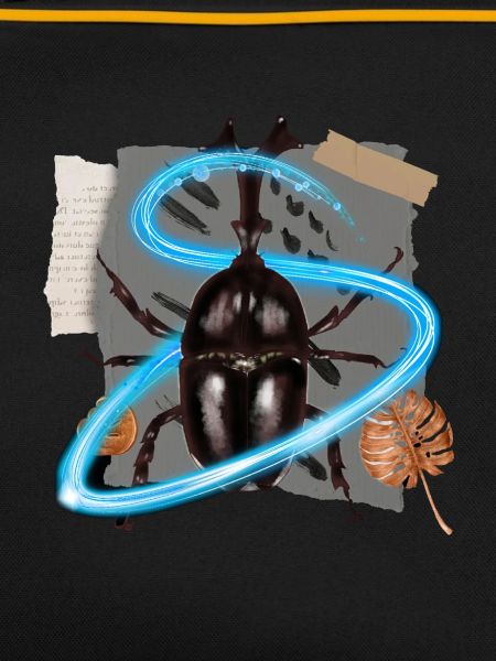 Gros insecte