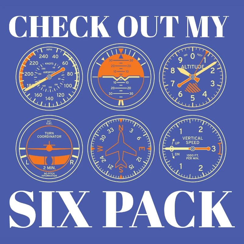 Funny Pilot Six Pack Simulation de vol d’aviation