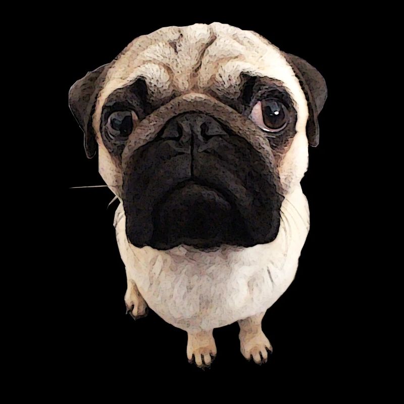 Mops Blick
