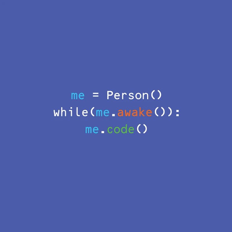 Programmierer