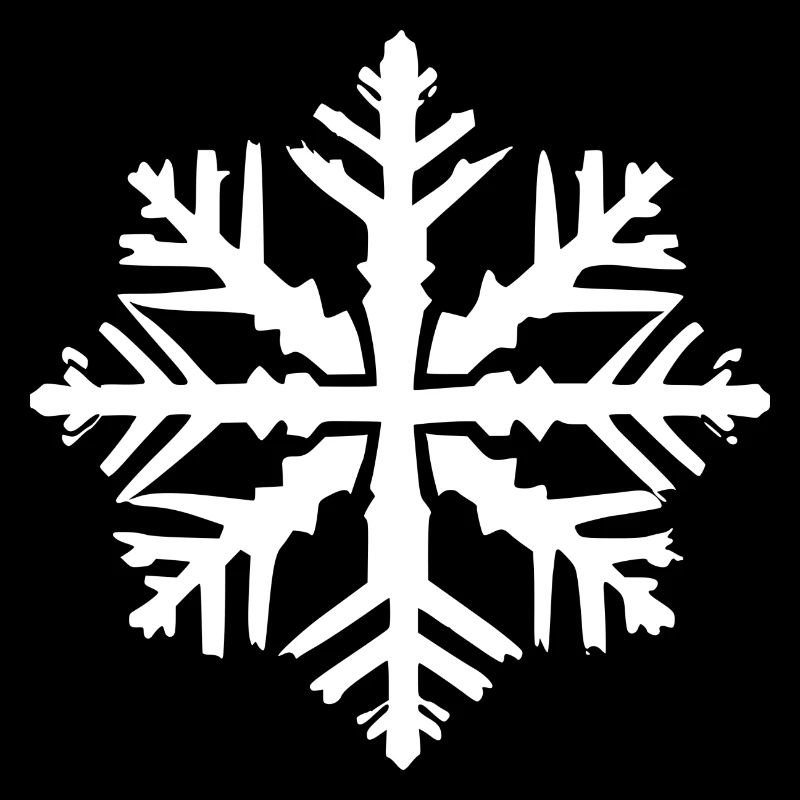 Snowflake Snow Winter Christmas Cold 12