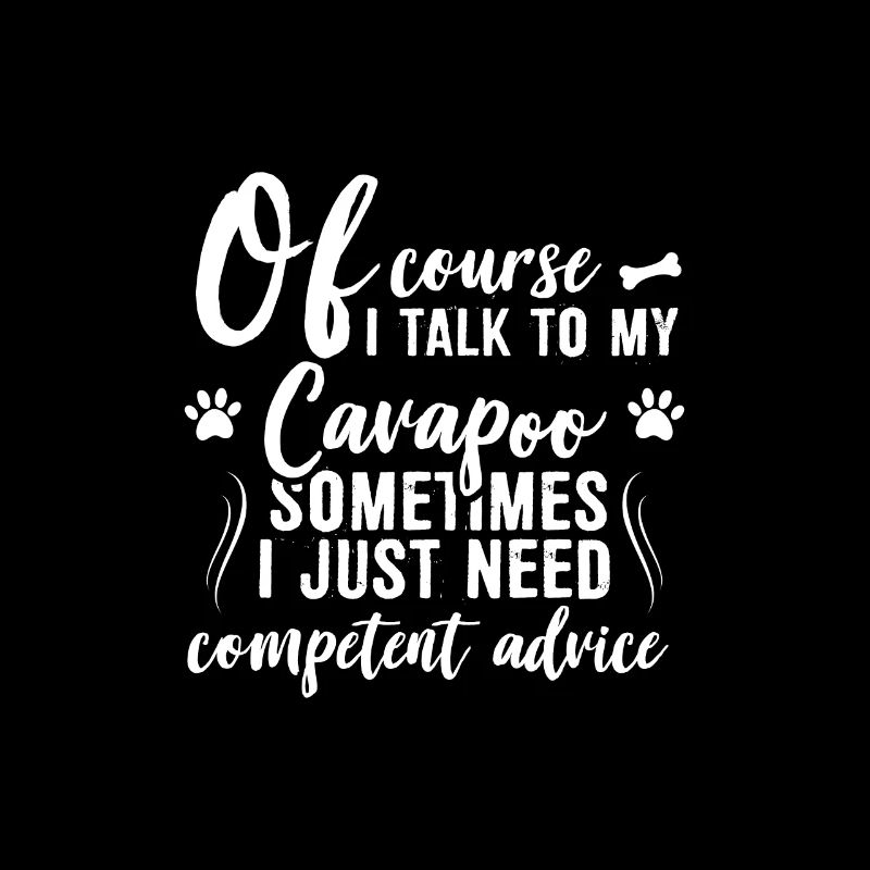 Of course I talk to my Cavapoo