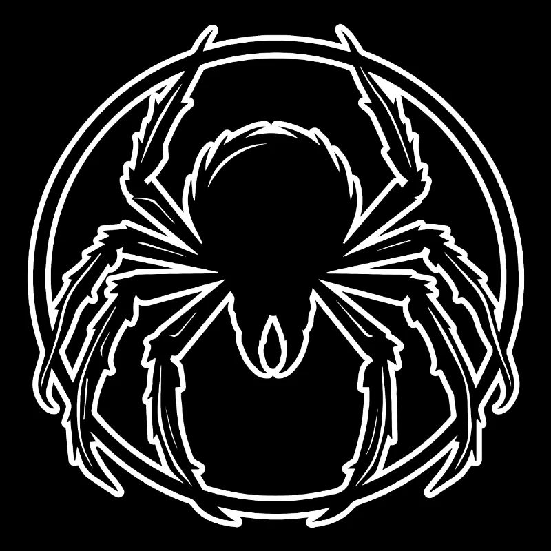 Spider spiders animals