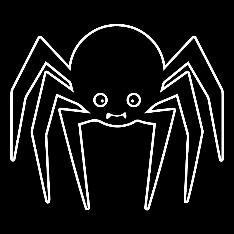 Spider spiders animals
