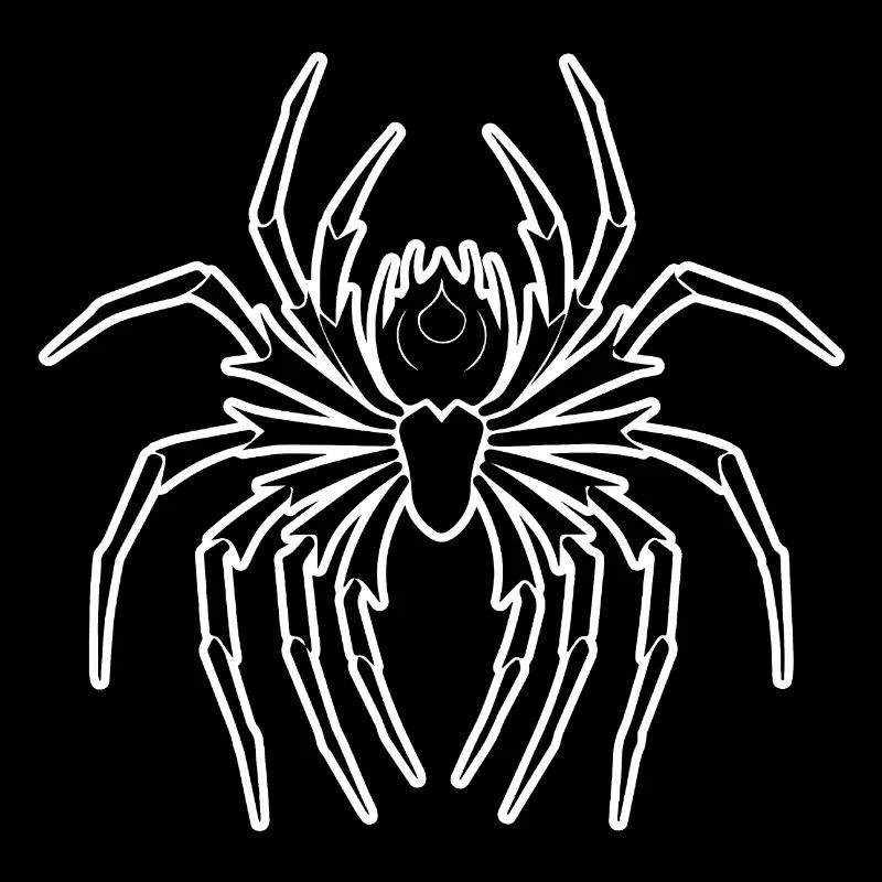 Spinne Spinnen Tiere