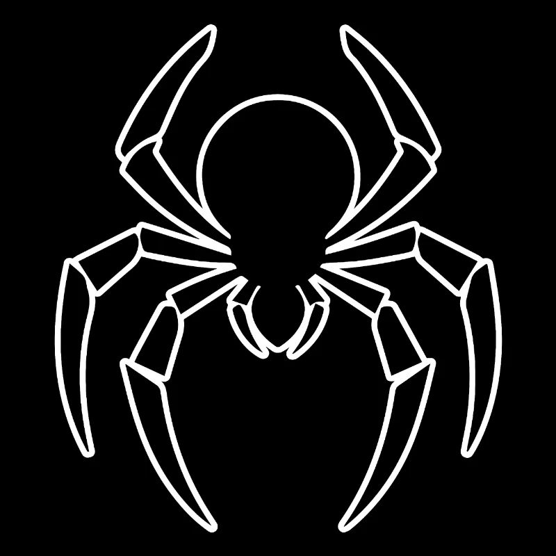 Spinne Spinnen Tiere