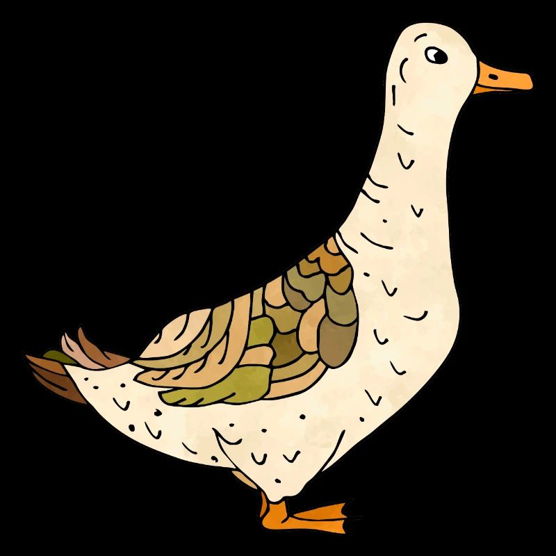 Canard