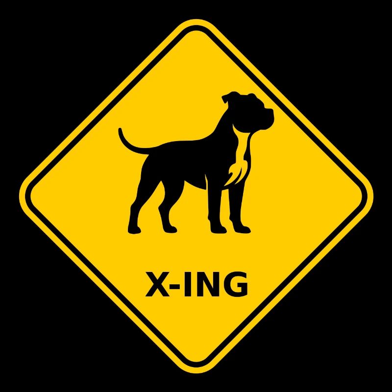 Bouclier « Bit Pull X-ING »