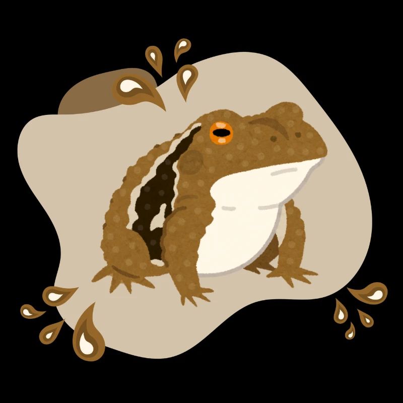Toad
