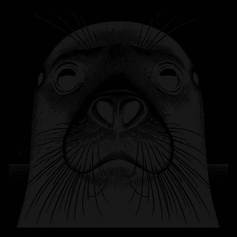 Seehund