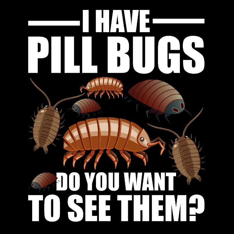 Rollie Pollie Entomologie Propriétaire Roly Poly Pill bug