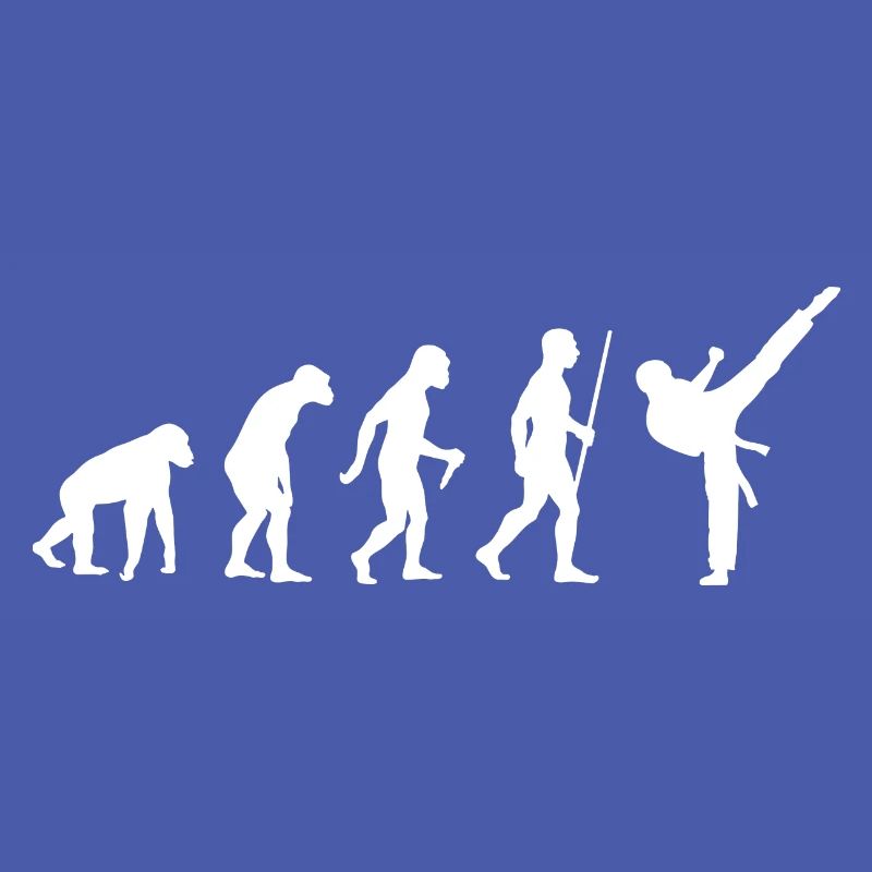 Arts Martiaux Karaté Evolution Idée Cadeau 005-096