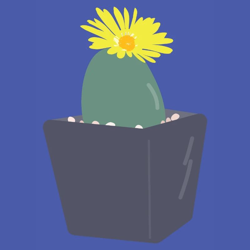 Fleurs de Lithops3