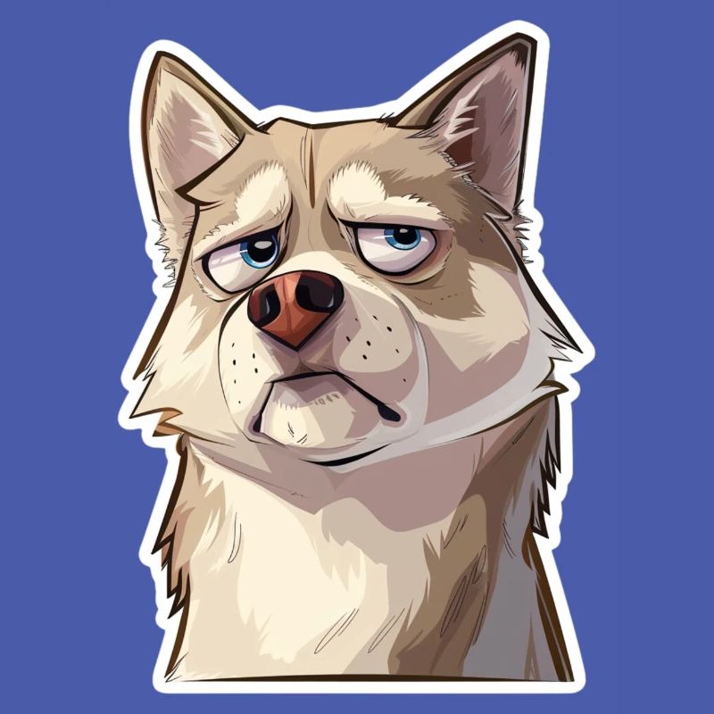 Grumpy the Husky