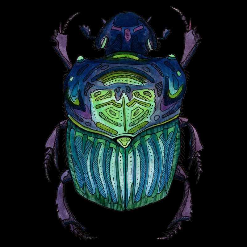 Big Beetle - Coléoptère géant
