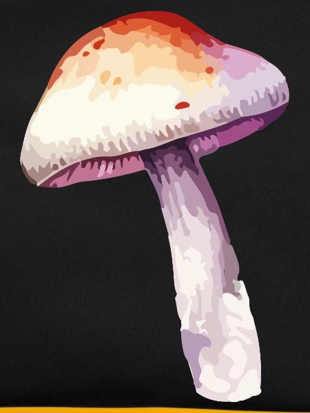 pilz
