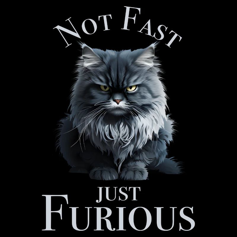 Not Fast just Furious