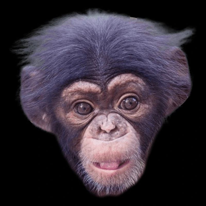 Mode de visage de singe mignon
