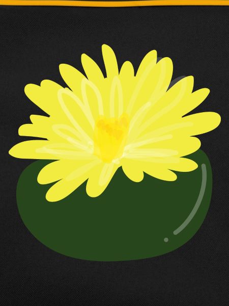 Lithops flower1