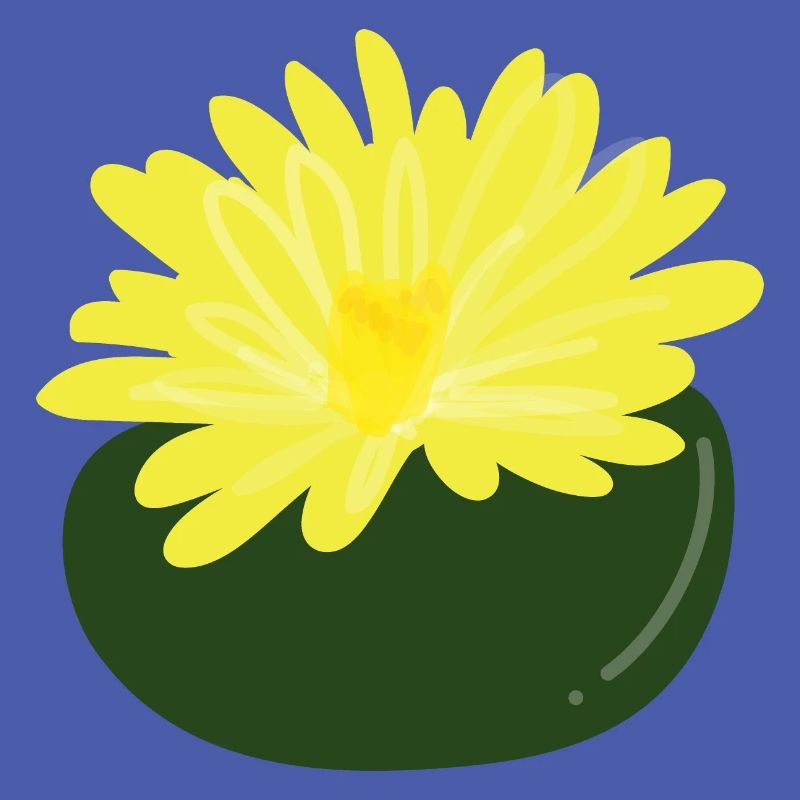 Fleur de Lithops1