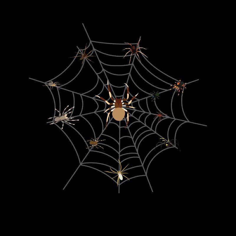 spider web spider tarantula