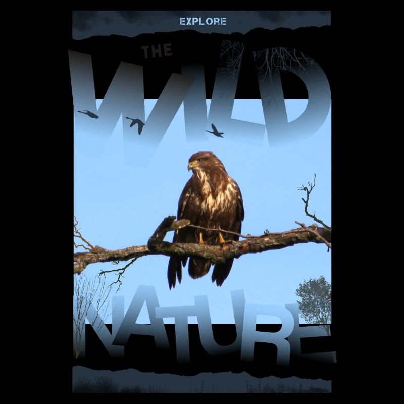 wild nature nature wilderness