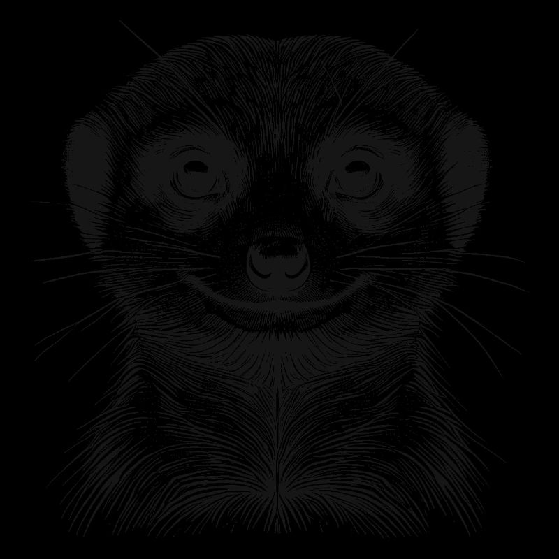 Erdmännchen