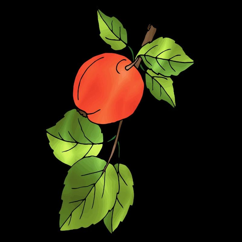 Apfel