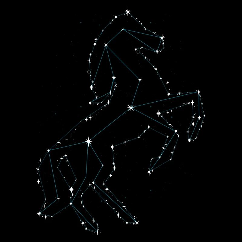 Pferd